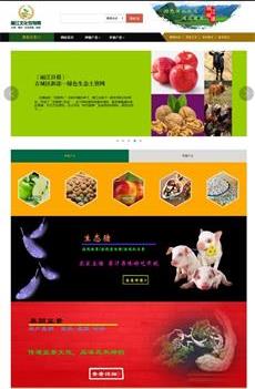 瀚數(shù)案例-麗江文化縣農(nóng)特網(wǎng)(政府性質(zhì))